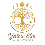 Yellow Elm Logo